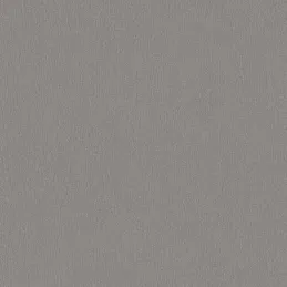 Radna ploča EGGER Alumini nježno četkan / F502 ST2