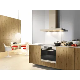 Radna ploča PFLEIDERER Dub Artisan / R20315 NY