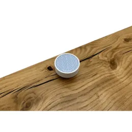 Drvena ručkica knopka ARSIA / Bijela - motiv plava jela