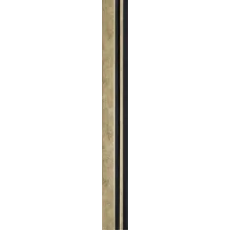 Završni profil za MILO / Zlatna