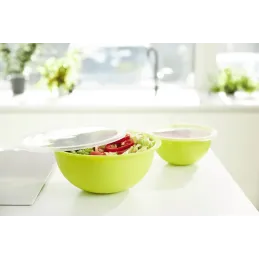 Plastična zdjela s poklopcem CARUBA 1,8L / Zelena