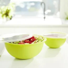 Plastična zdjela s poklopcem CARUBA 1,8L / Zelena