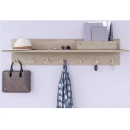 Vješalica TELGADO DUO / Nehrđajući čelik