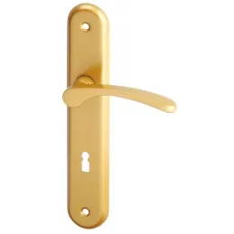 Štítkasta kvaka ECONOM 90 / Sjajno zlatna