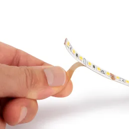 LED traka LYNX Basic - 12V - 4,8W - 5m