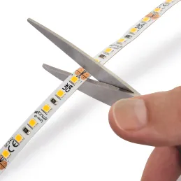 LED traka LYNX Basic - 12V - 4,8W - 5m