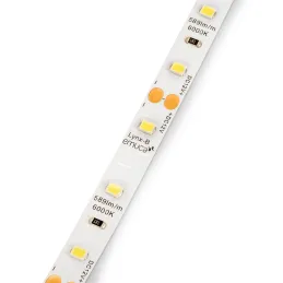 LED traka LYNX Basic - 12V - 4,8W - 5m