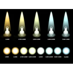 LED traka LYNX Basic - 12V - 4,8W - 5m