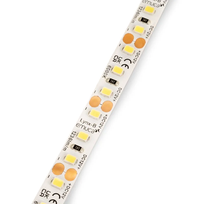 LED traka LYNX Basic - 12V - 9,6W - 5m