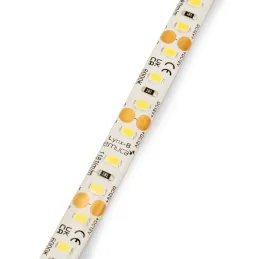 LED traka LYNX Basic vodootporna IP65 - 12V - 9,6W - 5m