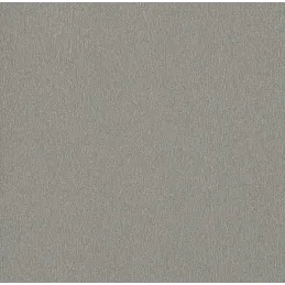 Stolna ploča Aluminij Blago Brušeni / F502/ST2