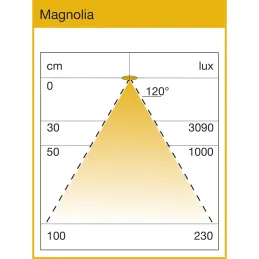 LED svjetlo ispod ormarića MAGNOLIA / Antracit