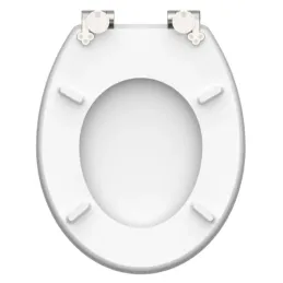 WC daska s tihim zatvaranjem / Blue wood