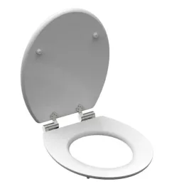 WC daska s tihim zatvaranjem / Blue wood