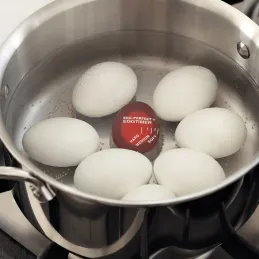 Tajmer za kuhanje jaja MINUTE
