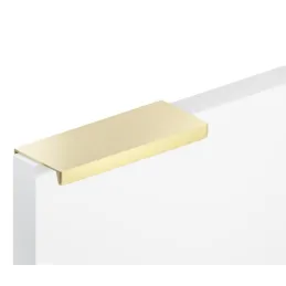 Ručka za rub vrata GOBI / Zlatna Mat