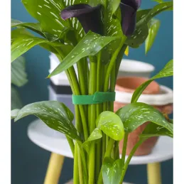 Vrtna traka na čičak za vrt i cvijeće 5m / Zelena