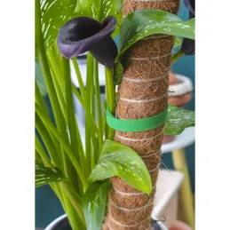 Vrtna traka na čičak za vrt i cvijeće 5m / Zelena