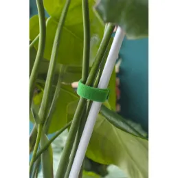 Vrtna traka na čičak za vrt i cvijeće 5m / Zelena