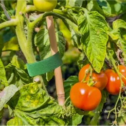 Vrtna traka na čičak za vrt i cvijeće 5m / Zelena