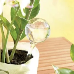 SET 8 komada automatskih dozatora vode za cvjetne posude / Prozirno