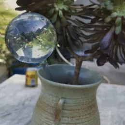 SET 8 komada automatskih dozatora vode za cvjetne posude / Prozirno