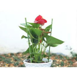 Podporni stalak za cvijeće i povrće 600 mm / Zelena