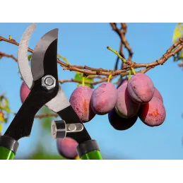 Vrtne škare XXL CUT / Zelena