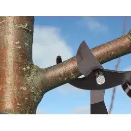 Vrtne škare XXL CUT / Zelena