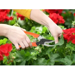 CUT vrtne škare za vrt / Narančasta