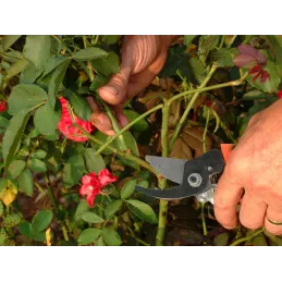 CUT vrtne škare za vrt / Narančasta