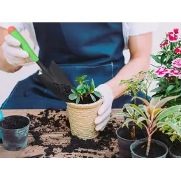 Ručno vrtno lopatice PLANT / Zelena