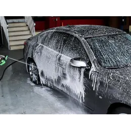 Visokotlačni pištolj za pranje auta s posudom za deterdžent / Zelena