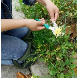Radne pjenaste štitnike za koljena / Zelena