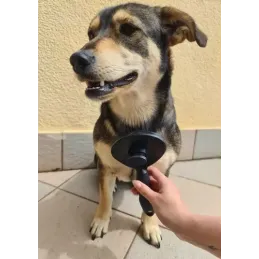 Samočisteća četka za dlaku za kućne ljubimce / Crna