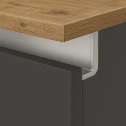 Profil ručke za vrata OLYMP - L / Aluminij