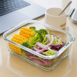 Staklena posuda za hranu GENIUS 1,04L s poklopcem / Prozirna
