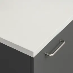 Radna ploča PFLEIDERER ABS PERFORM 20 mm Kremen svijetli / F73009