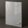 Svijetlo siva