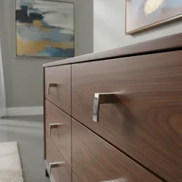 Gumb PRAKTIS / sjajni krom