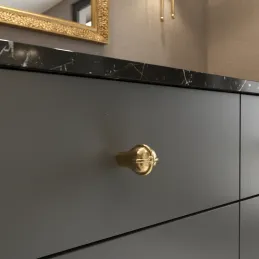 Plastična ručkica knopka CROWN / Zlatna