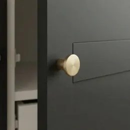 Ručka knopka VITRA / Brušeno zlato