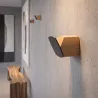 Hrast
