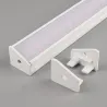 Bijela