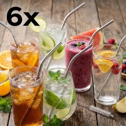 Set od 6 komada nehrđajućih slamki za piće / Nehrđajući čelik