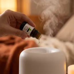 Set od 6 mirisnih ulja za aroma difuzore / 10 ml