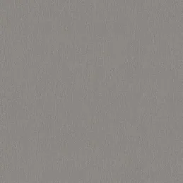 Leđa za radnu ploču Aluminij fino četkan / F502