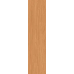 ABS rubni profil Bavorijanski Buk H1511/ST15