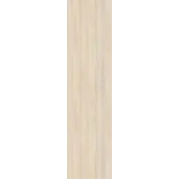 ABS rubnik Javor Hard šampanjac H3860/ST9