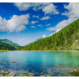 Staklena pregrada za ploču za kuhanje 600 mm / Panorama
